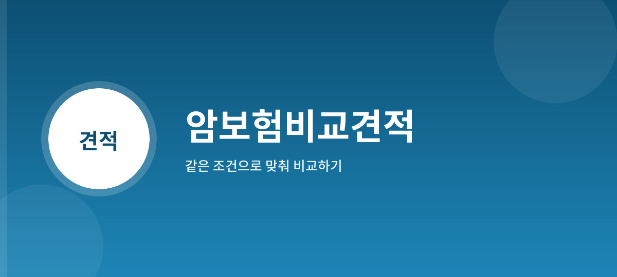 암보험비교견적